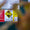 otp-close-up-of-oil-tank-stickers-1-scaled