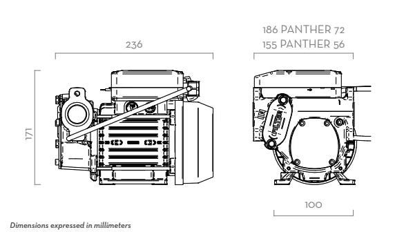 Piusi Panther 72 Diesel Fuel Transfer Pump